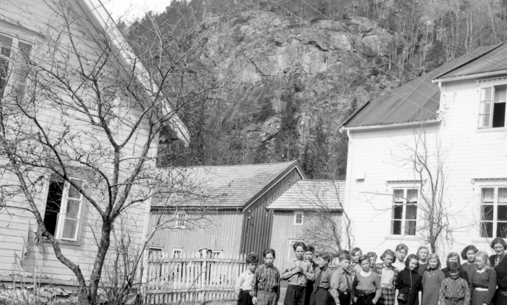 Haviken