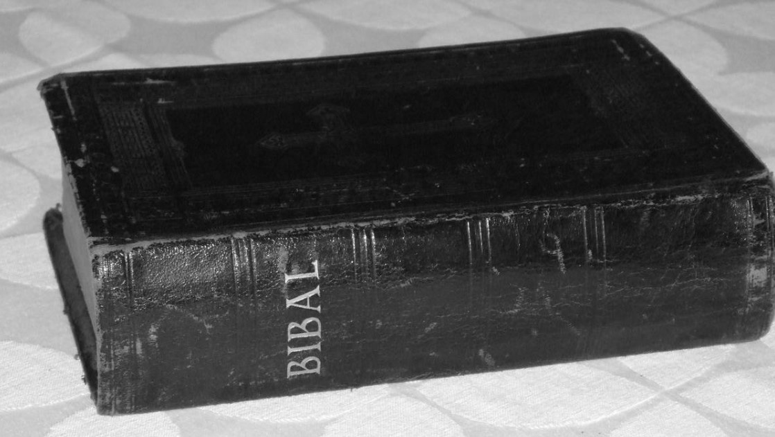 Samisk-bibel_w